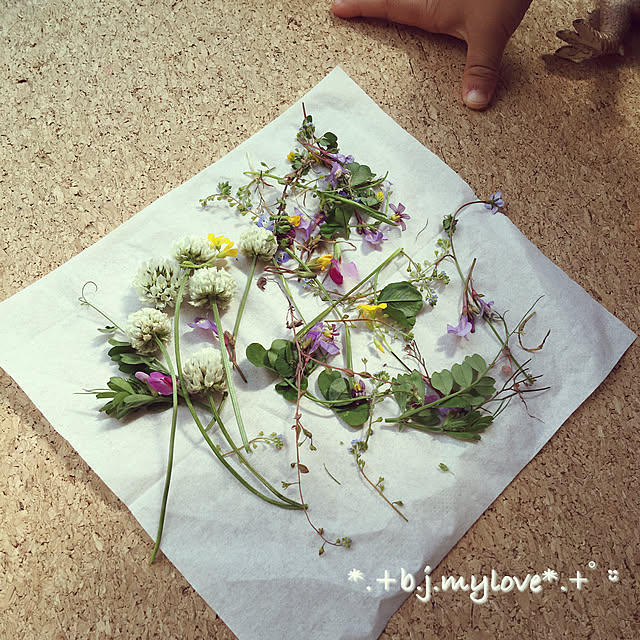 boku.jenny.myloveさんの実例写真