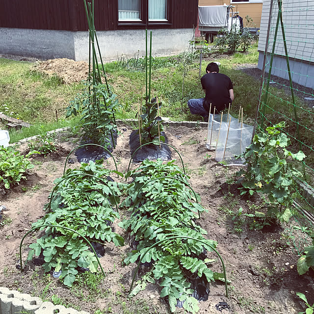 tsugamichinaruさんの実例写真