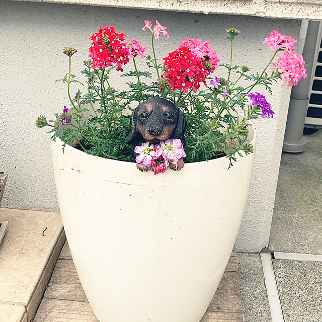 k.k.kinokoさんの実例写真