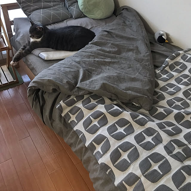 Machikoさんの実例写真