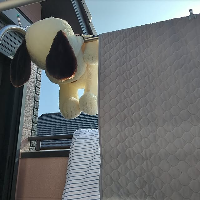 dadaさんの実例写真