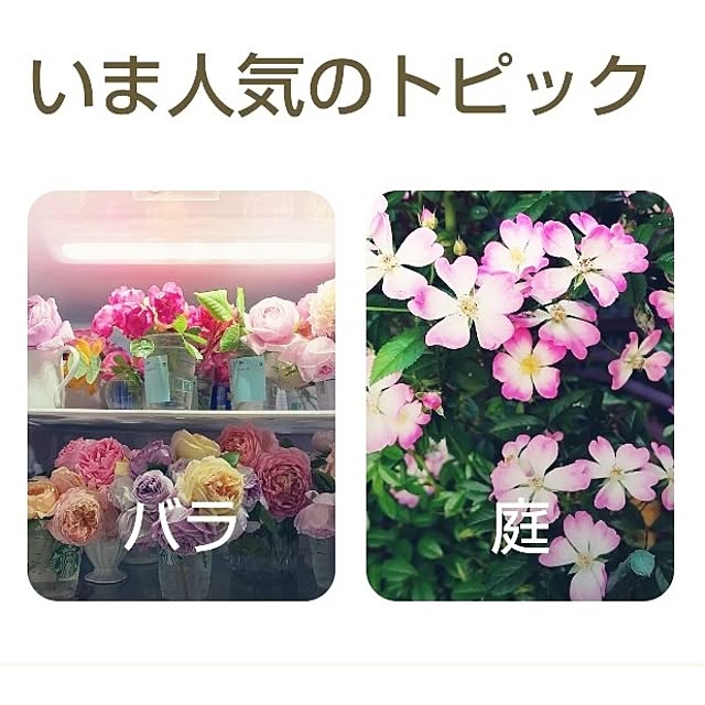 katさんの部屋