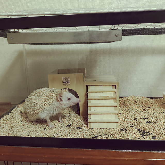 kouさんの実例写真