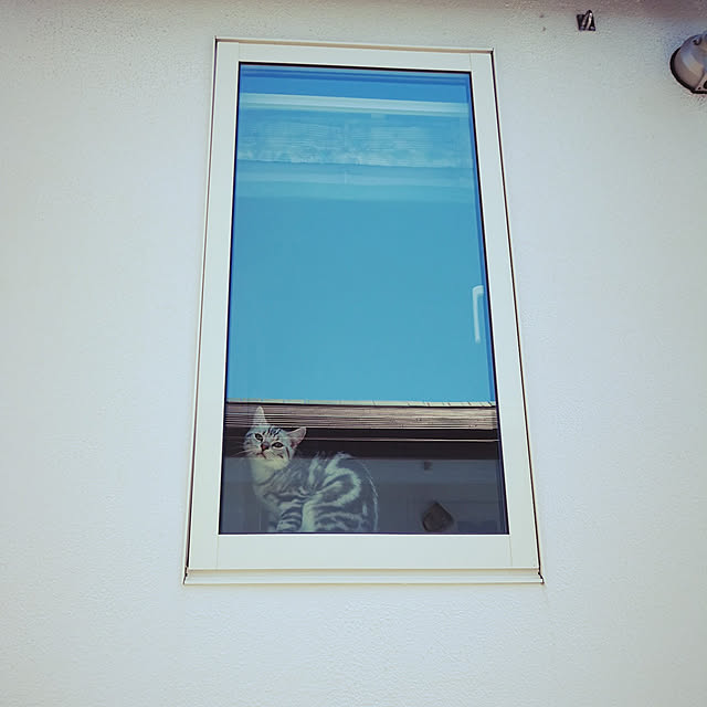 K-mamaさんの実例写真