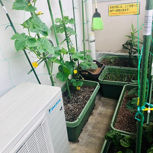 hanachanさんの部屋