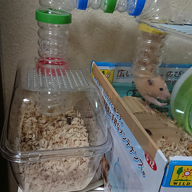 Yさんの実例写真