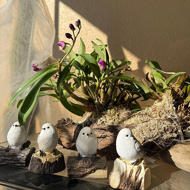 Aqettyさんの部屋