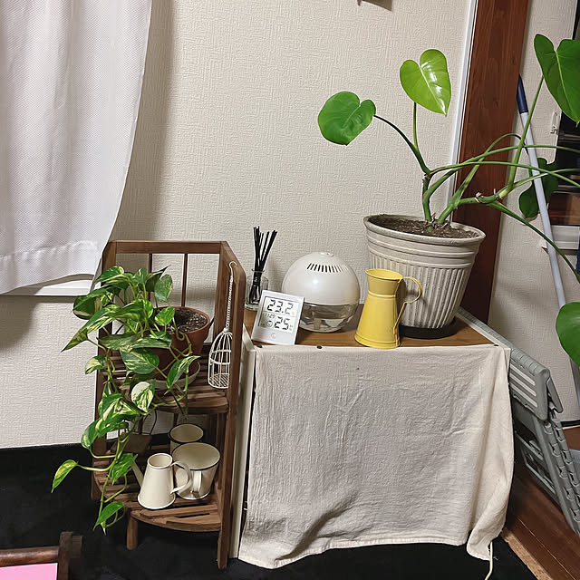 実例写真