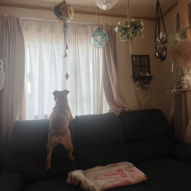 chi_gogaさんの部屋