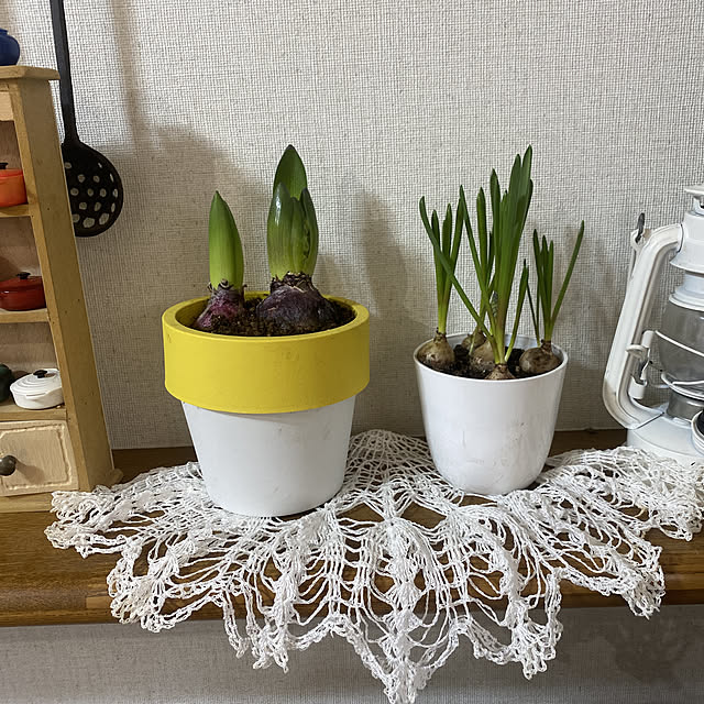 chIoeさんの実例写真