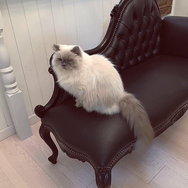 yuchiさんの実例写真