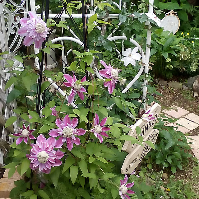 mariagardenさんの実例写真
