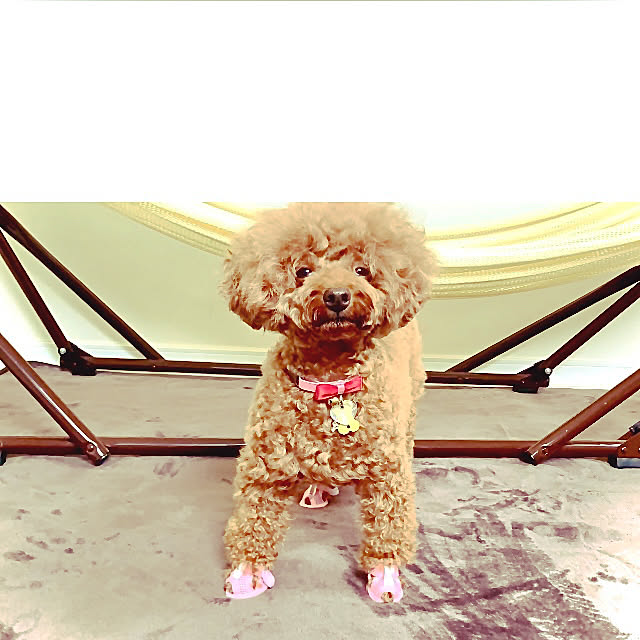 MOMOMAMAさんの実例写真