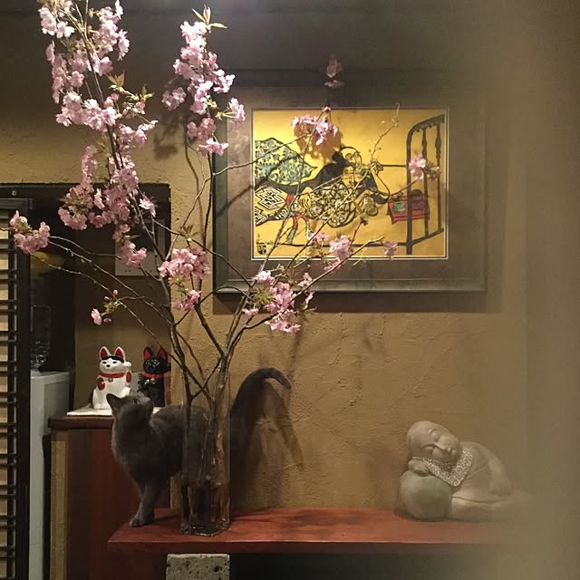 6catさんの実例写真