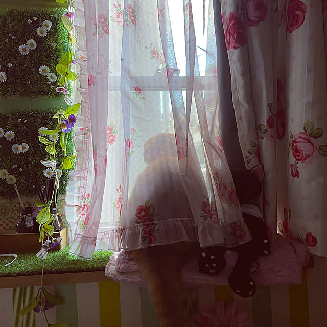 Mahoさんの実例写真