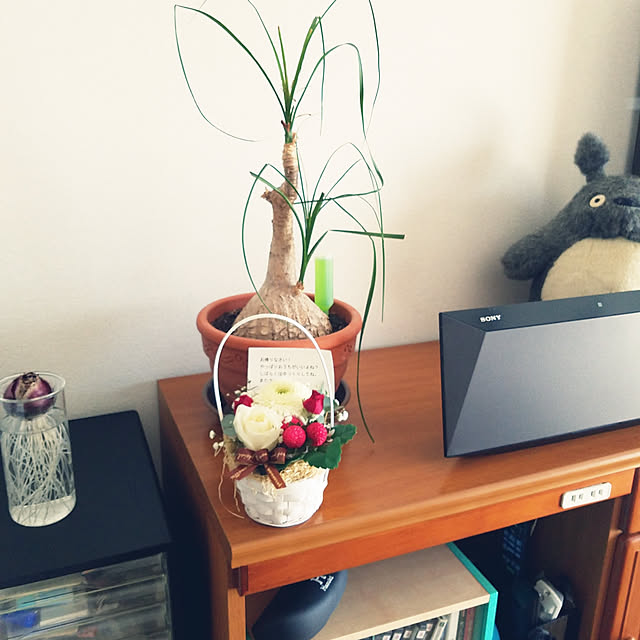 miyocoさんの実例写真