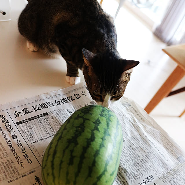 hanacocoさんの実例写真