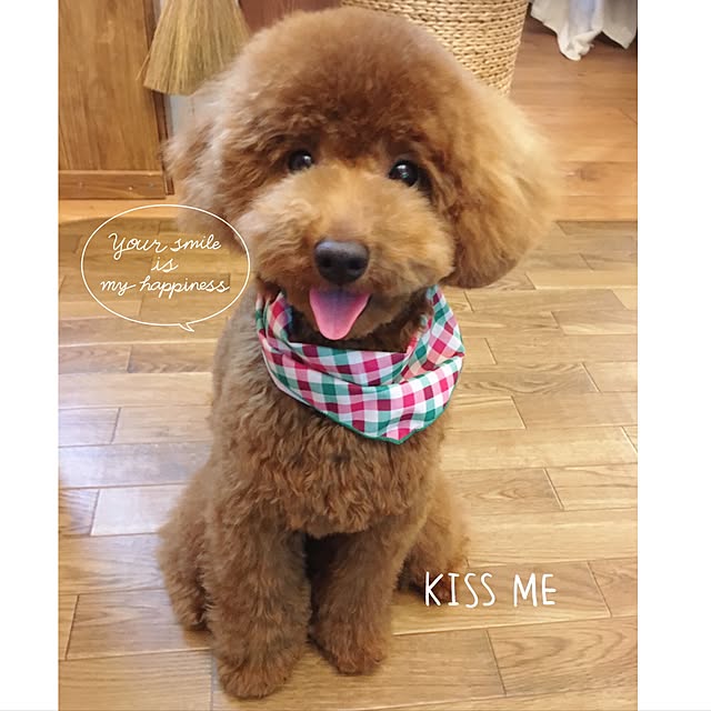 tomoさんの実例写真