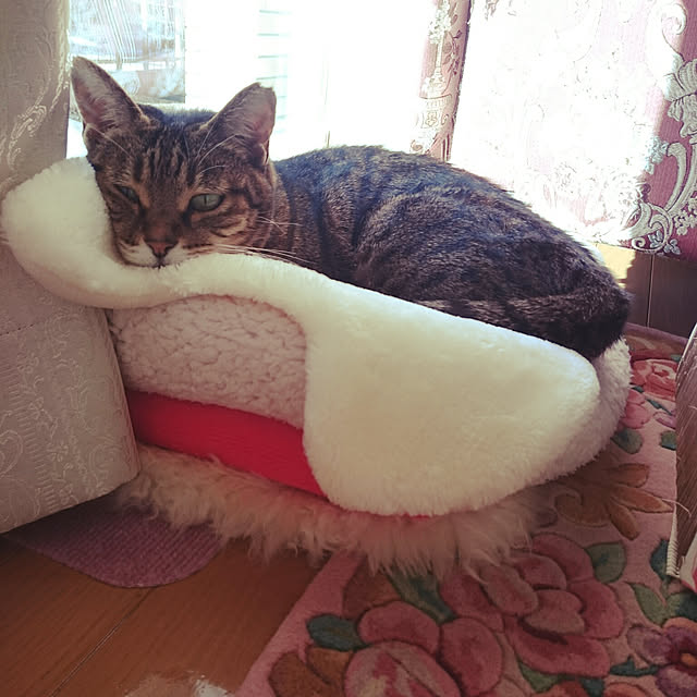 lilyさんの実例写真