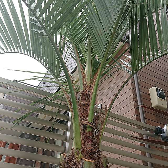 hideさんの実例写真