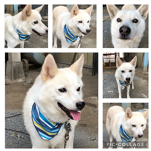 kazu15さんの実例写真