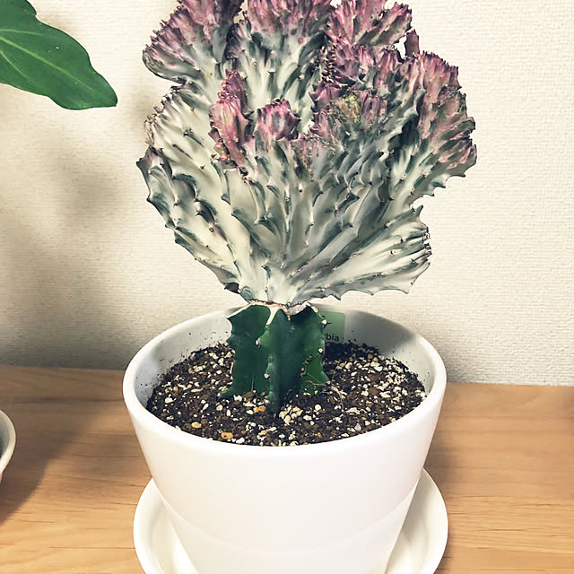 hanachanさんの部屋