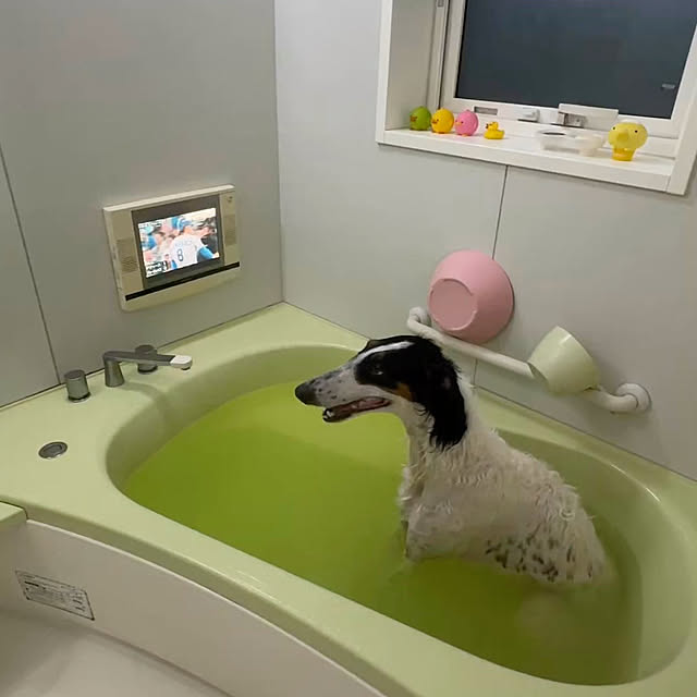 i.motomuraさんの実例写真