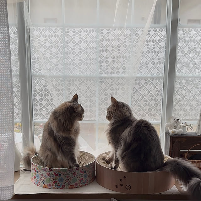 mayumiさんの実例写真