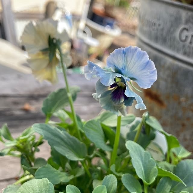 min_nimさんの実例写真