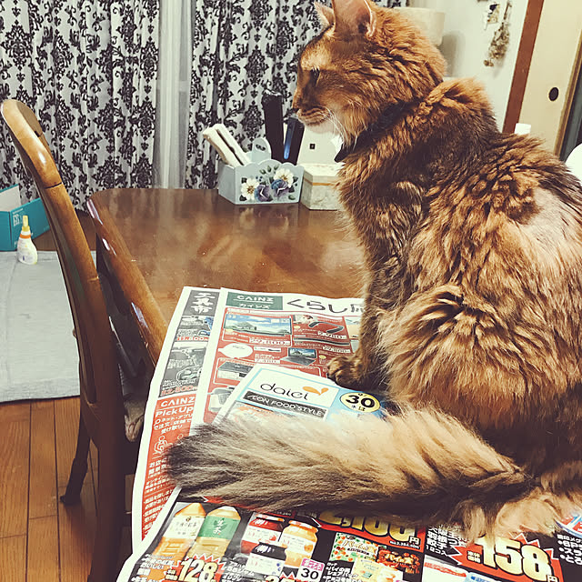 yukarinさんの実例写真