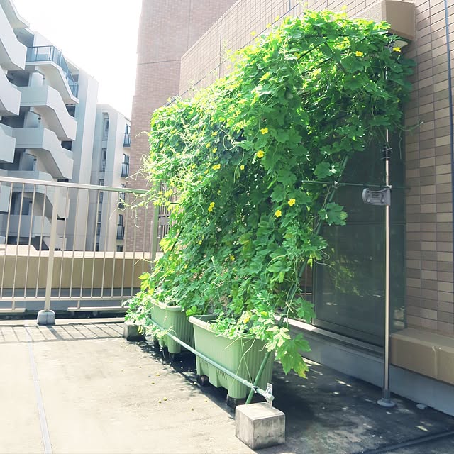 bashiさんの実例写真
