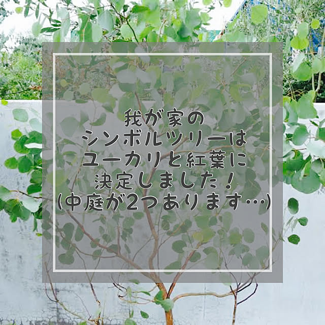 nukochiさんの実例写真