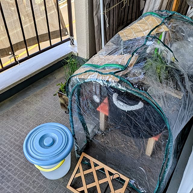 mi-saさんの部屋