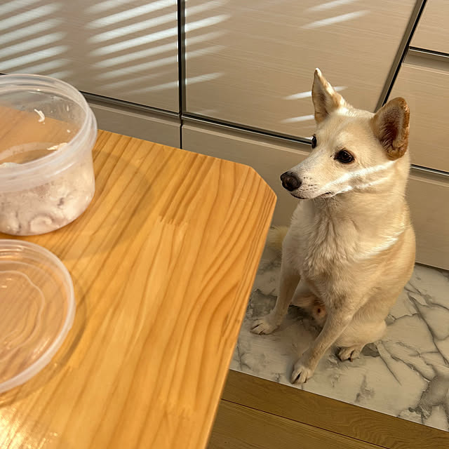 tanboさんの部屋