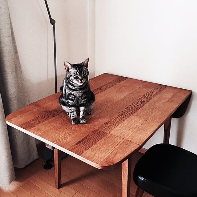 Chlokoさんの実例写真