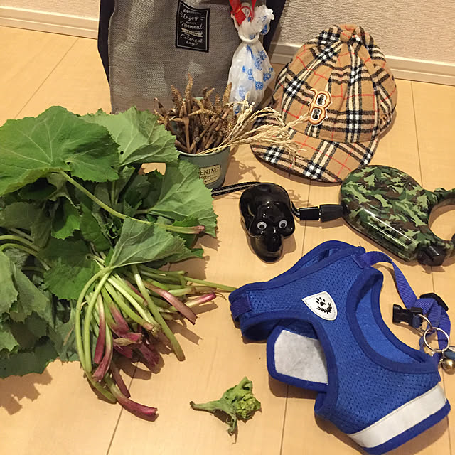 emiさんの実例写真
