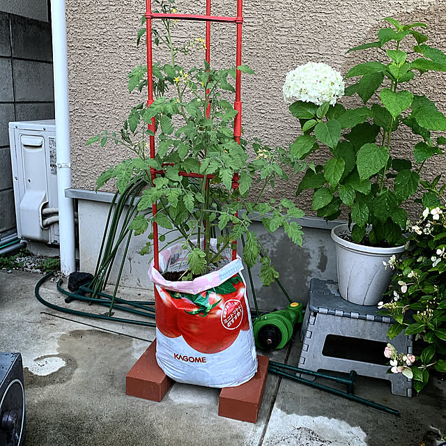 eshinobumさんの部屋