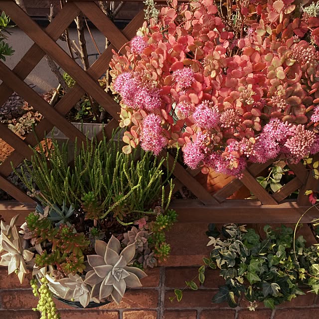 mukkuさんの実例写真