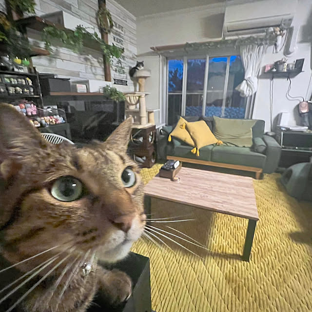 sumoanzuさんの実例写真