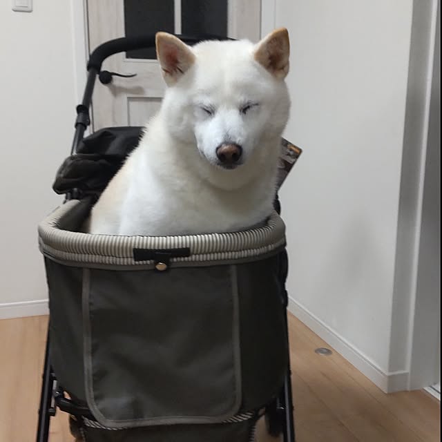 yukinkoさんの部屋