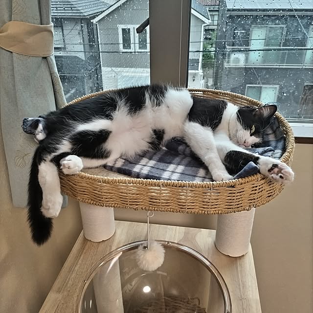 yuuさんの部屋