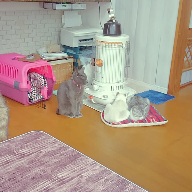 chako.さんの実例写真