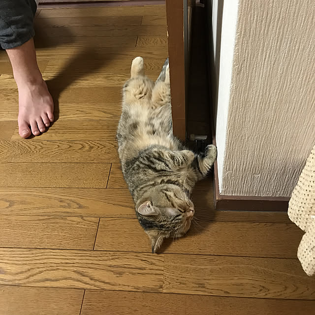 keibooさんの実例写真