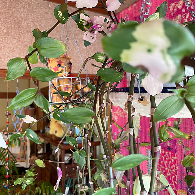 shin0719さんの部屋