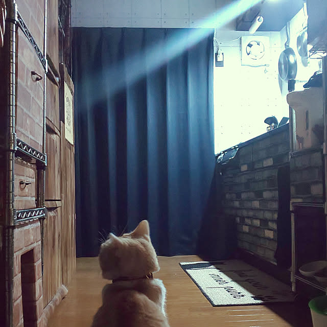 kobakissaさんの実例写真
