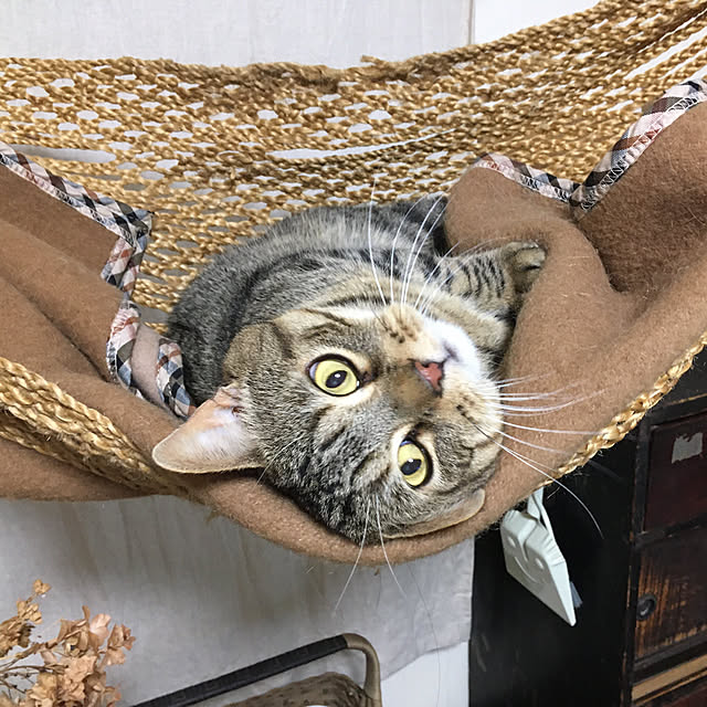 kuuさんの実例写真