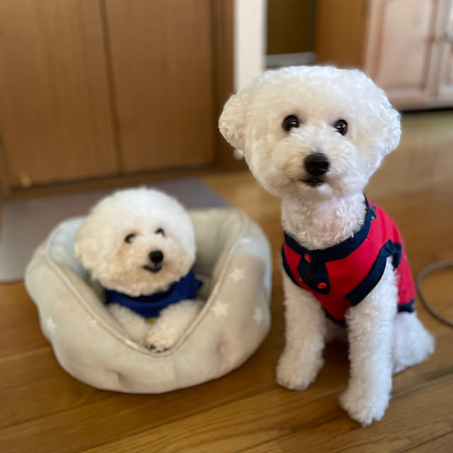 実例写真