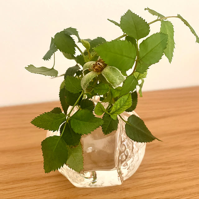 Minさんの実例写真