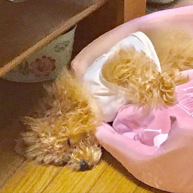 MARIRINさんの実例写真