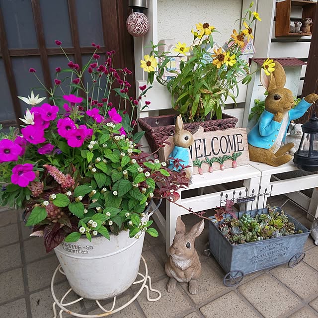 seiko44さんの部屋